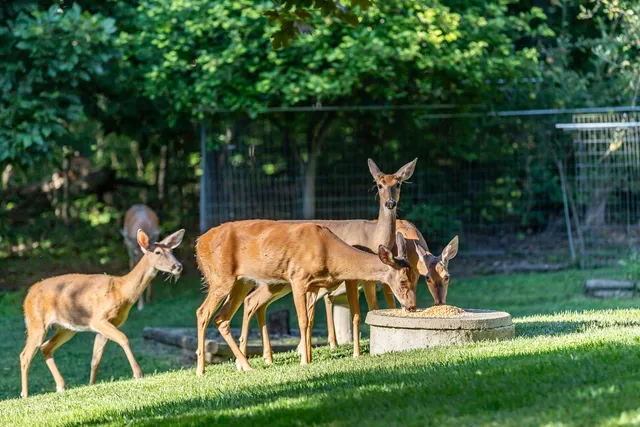 $444,900 | 3530 East Challas Entrance, Crete, IL 60417