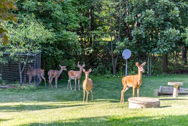 $444,900 | 3530 East Challas Entrance, Crete, IL 60417