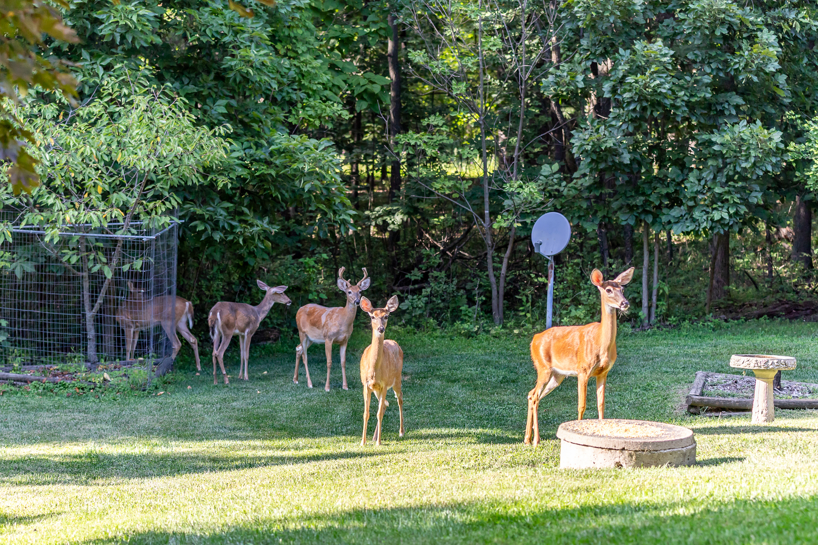 3530 East Challas Entrance Crete, IL 60417 - Photo 59 of 60 a view of a house with backyard porch and sitting area