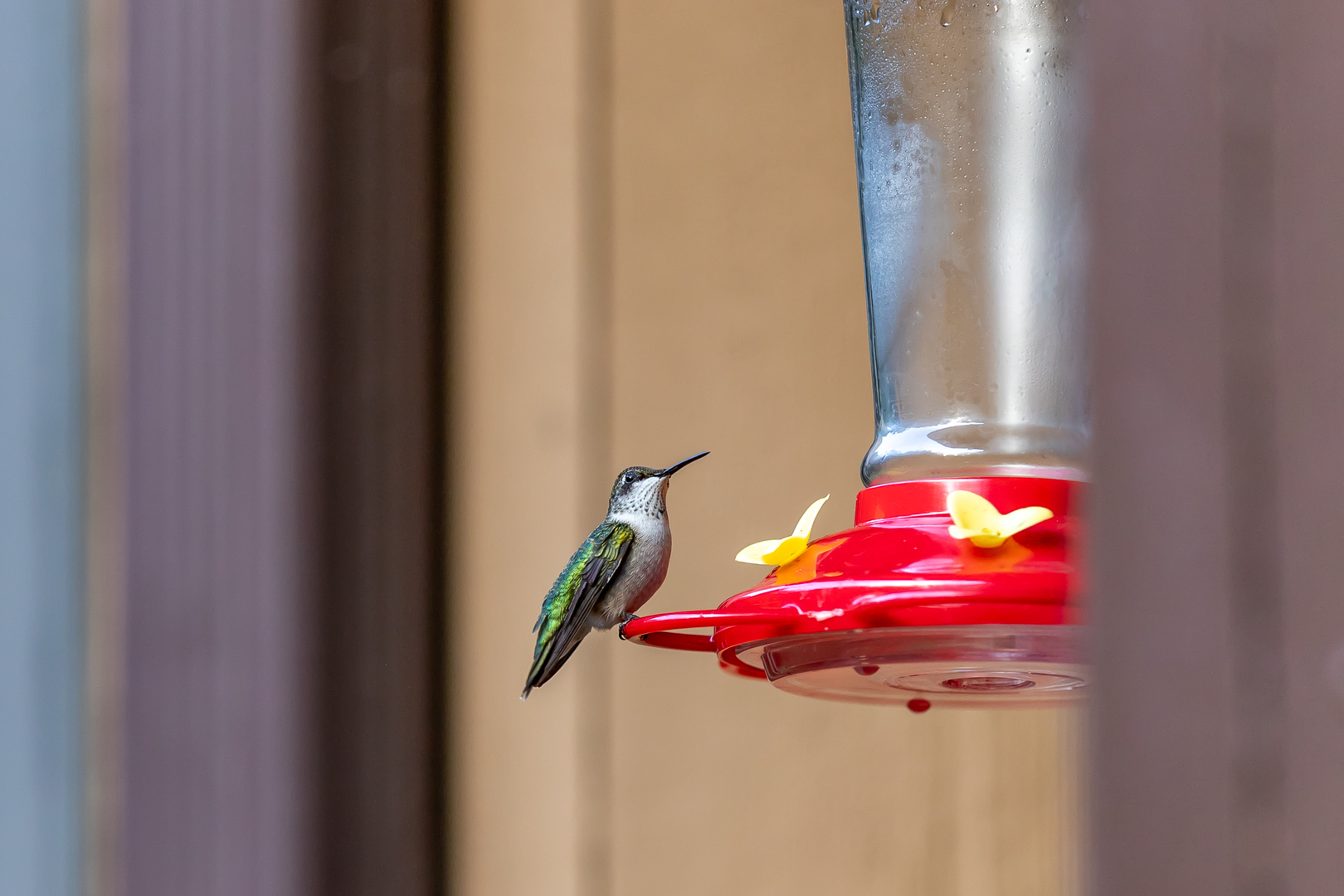 3530 East Challas Entrance Crete, IL 60417 - Photo 60 of 60