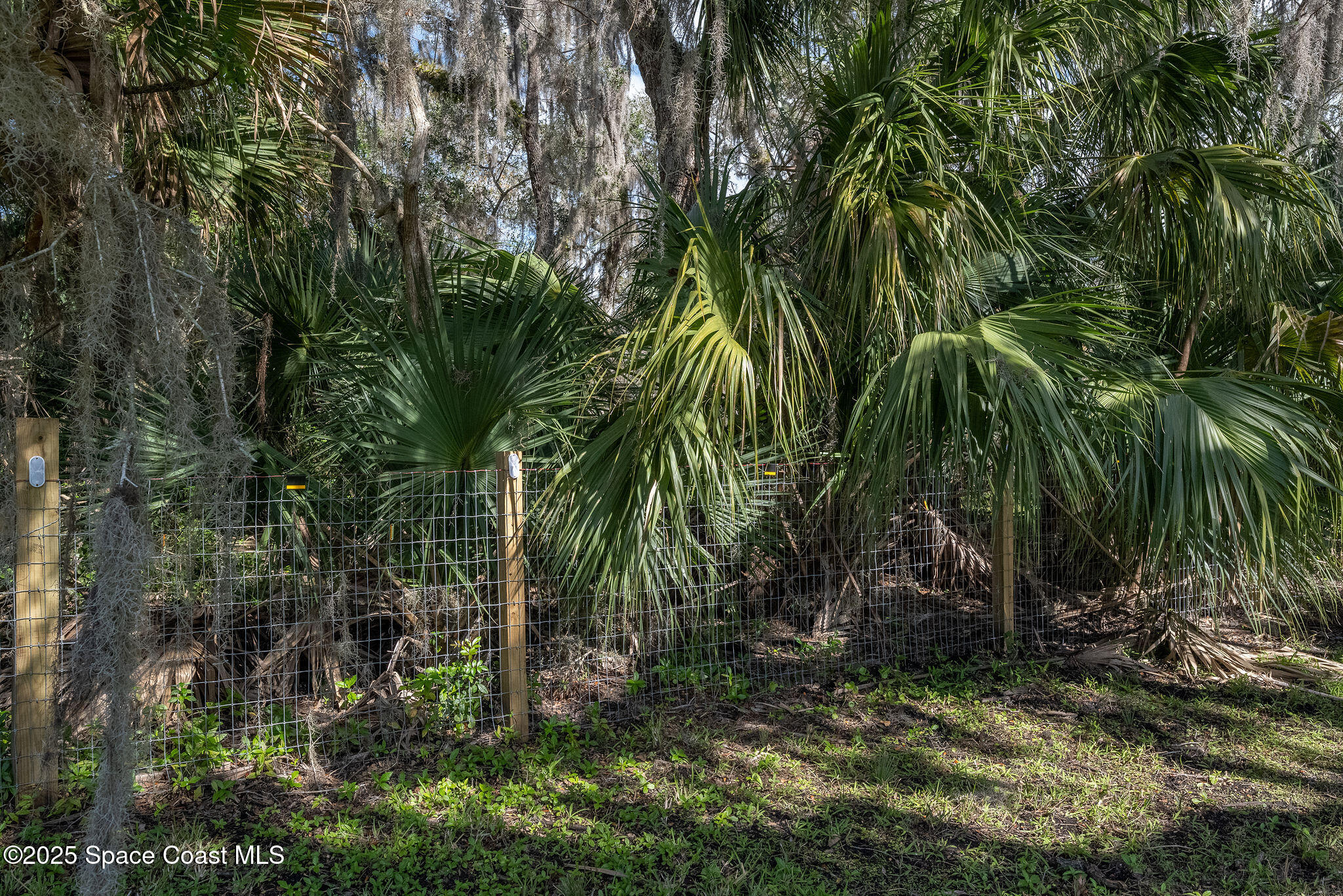 1250 Pine Island Road Merritt Island, FL 32953 - Photo 35 of 75 JCP_2570