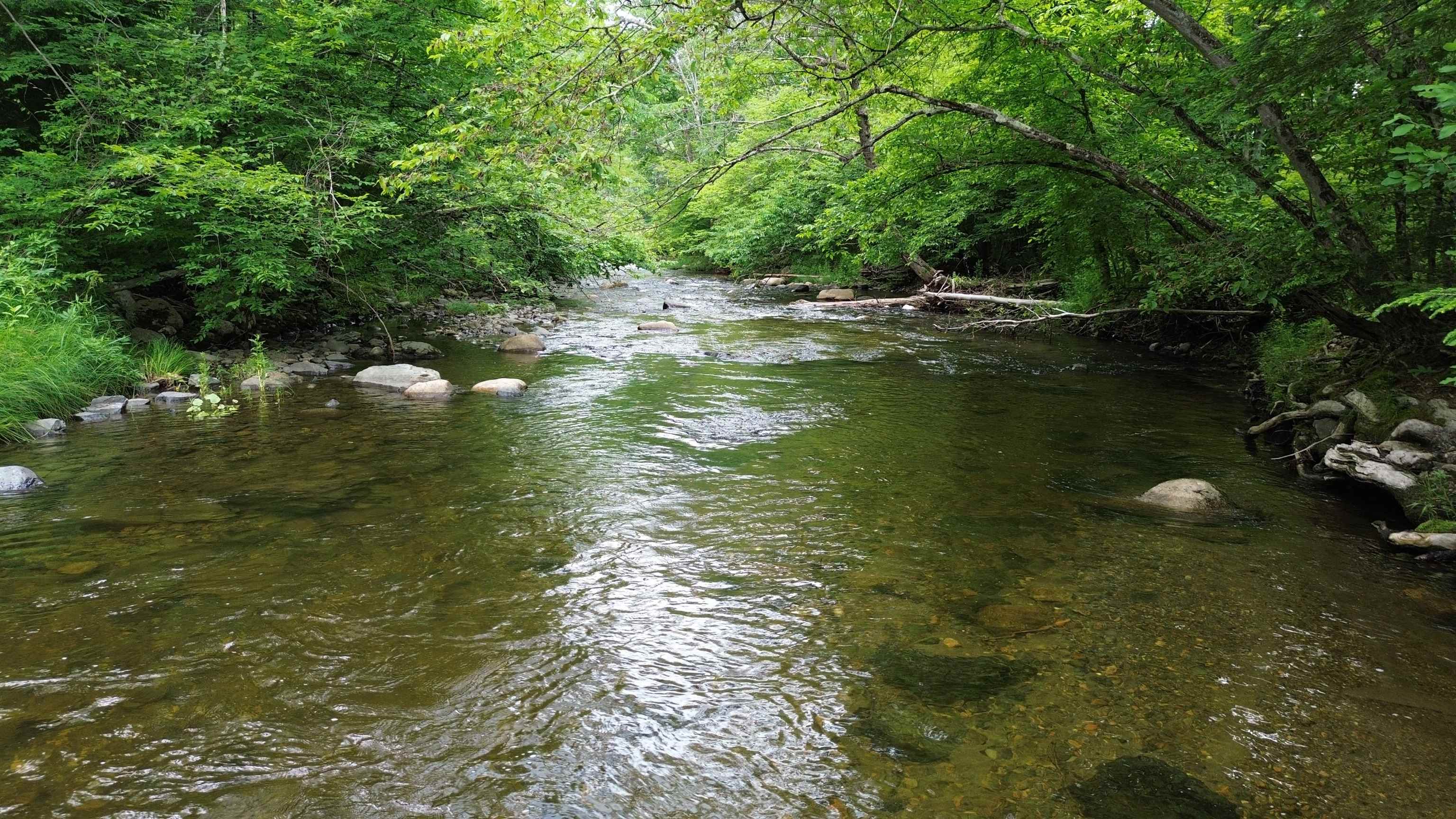 4 Cutler Road Plainfield, NH 03781 - Photo 6 of 28