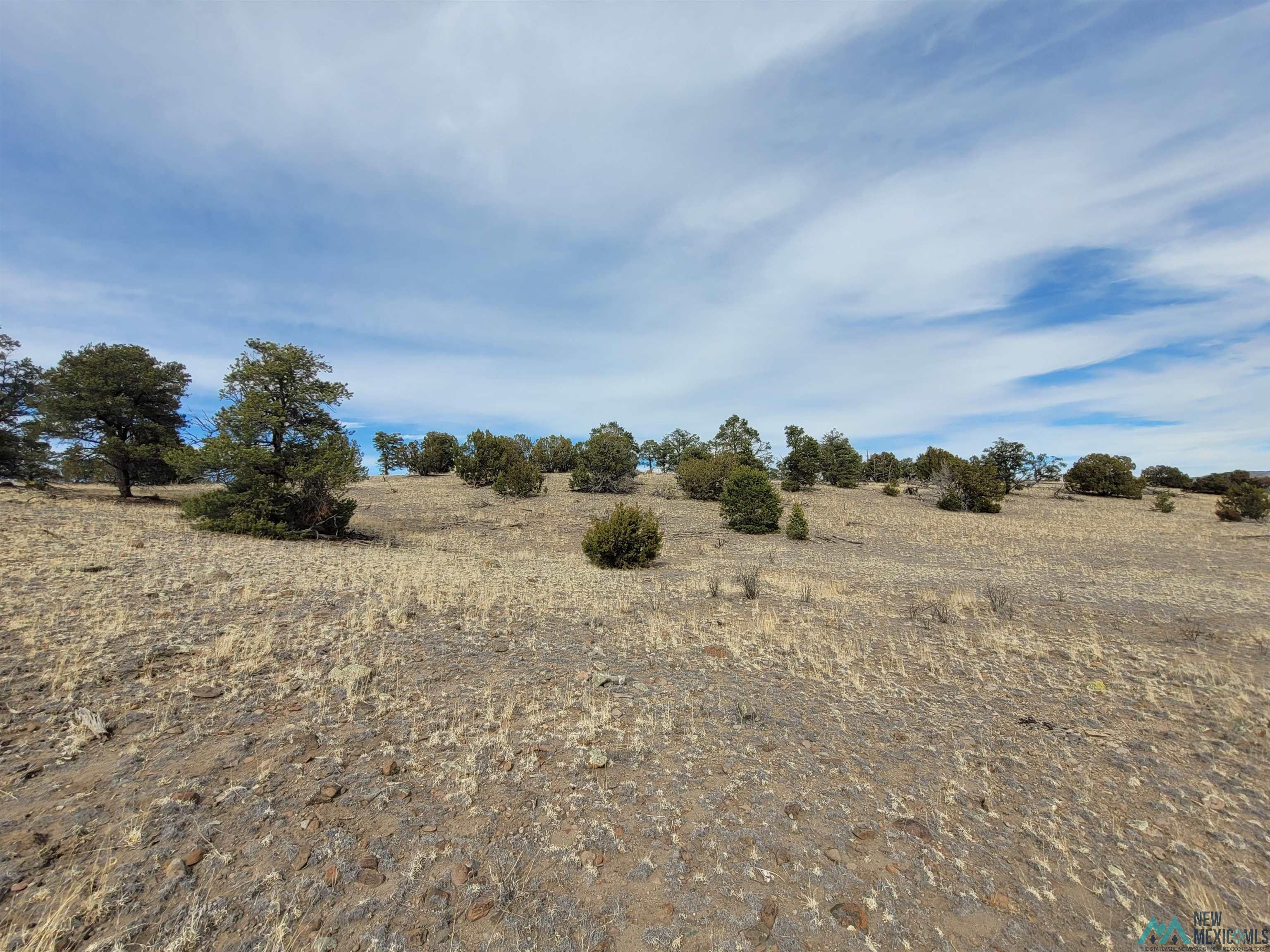 47 Cougar Run Datil, NM 87821 - Photo 12 of 38 Gallery Image 12