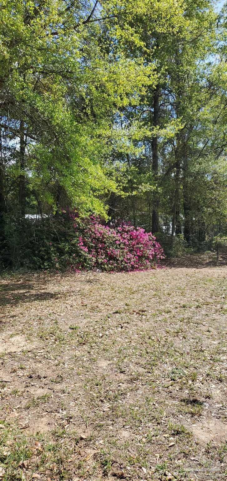 5308 Persimmon Hollow Road Milton, FL 32583 - Photo 18 of 18