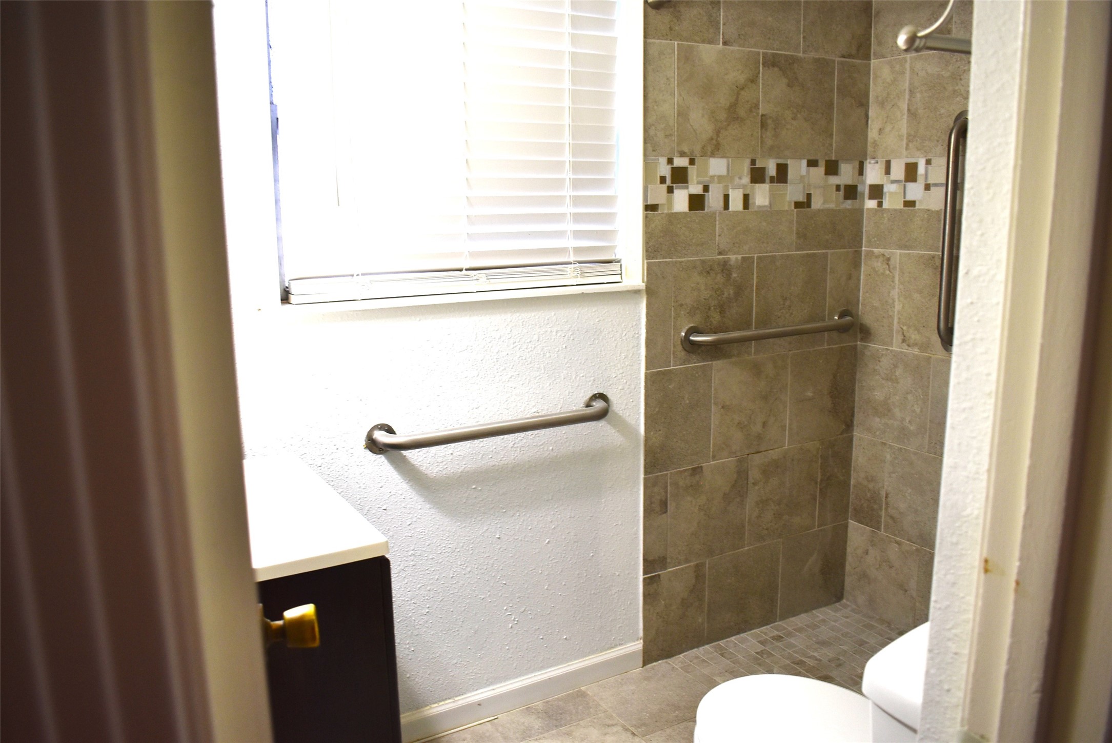 1006 Mac Drive Sweeny, TX 77480 - Photo 28 of 43 a bathroom with a shower and toilet