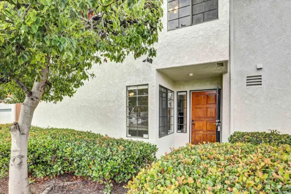 front view of a house with a tree