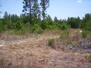 4 State Park Road Windsor, SC 29856 - Photo 1 of 1