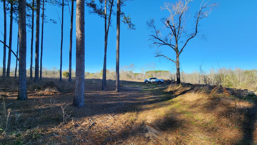 20-acres Hudson Road Columbia, AL 36319 - Photo 32 of 40