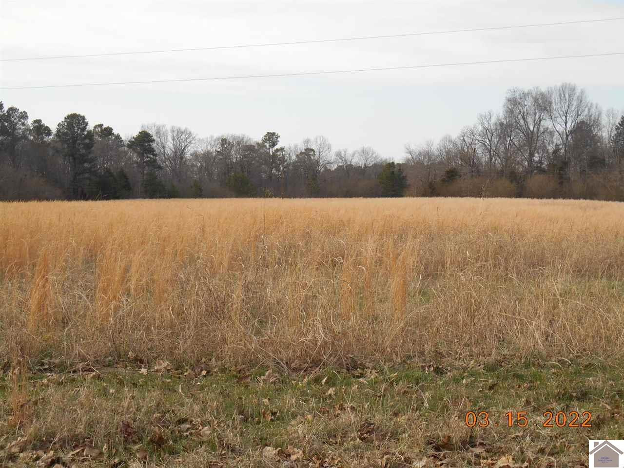 0 Cedar Point Road Benton, KY 42025 - Photo 1 of 1 Photo 1