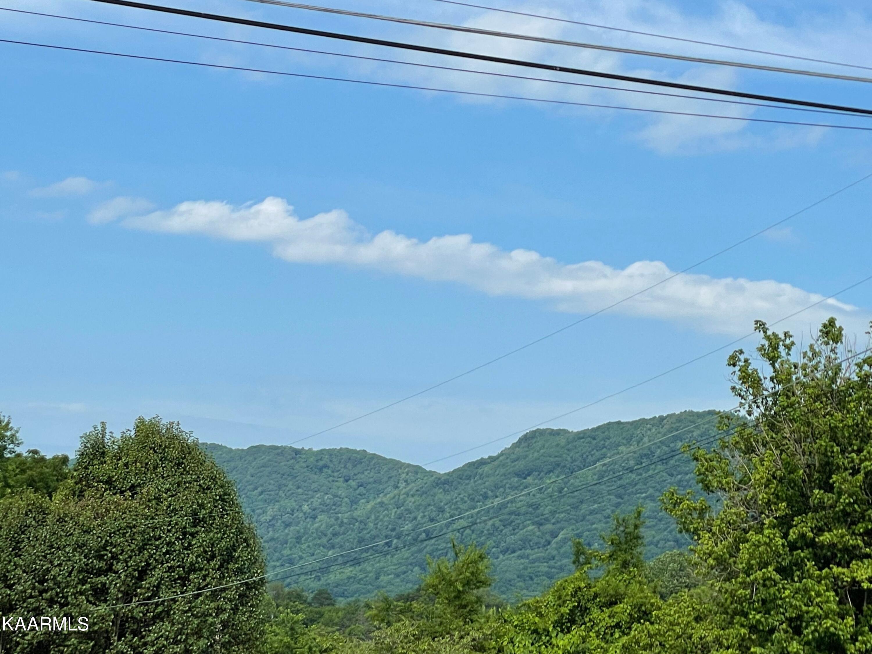 1921-115 Loop Road La Follette, TN 37766 - Photo 5 of 13 IMG_9499
