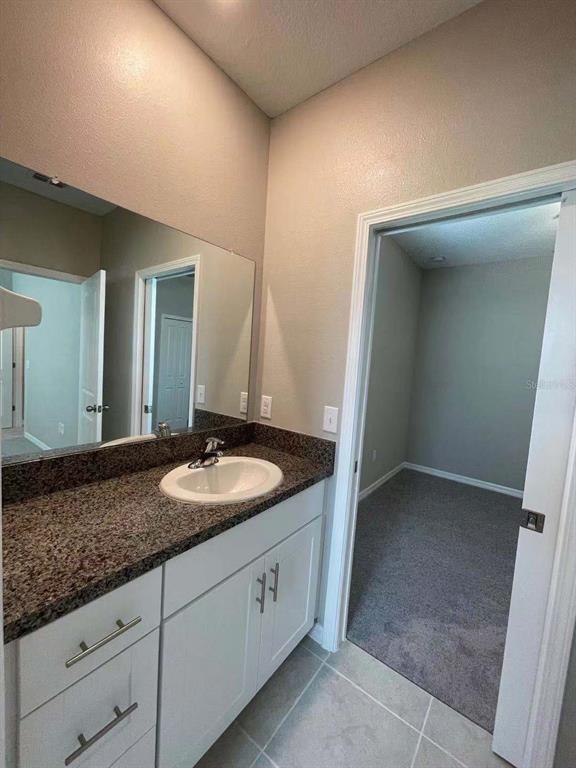 31993 Blue Passing Loop Wesley Chapel, FL 33545 - Photo 6 of 17 a bathroom with a granite countertop sink and a mirror