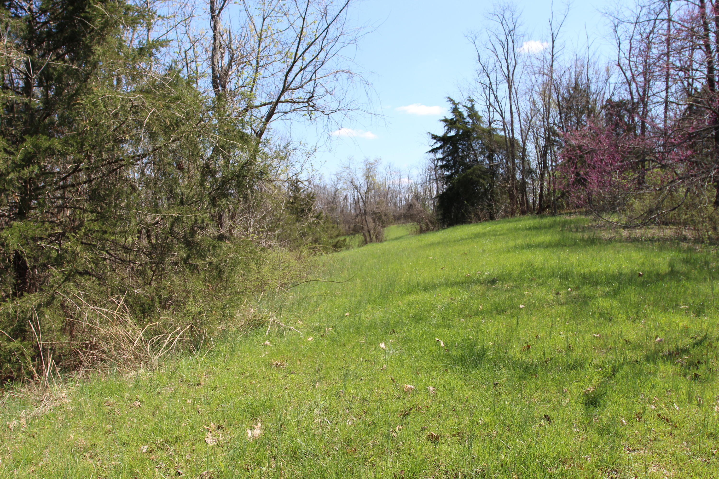 127 Owenton Road Owenton, KY 40359 - Photo 3 of 33 1- farm owen county (4)