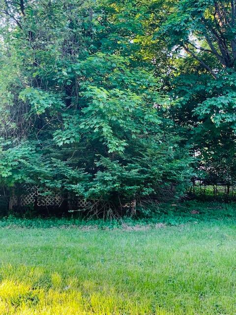 16443 Rynearson Street Buchanan, MI 49107 - Photo 20 of 24 backyard2