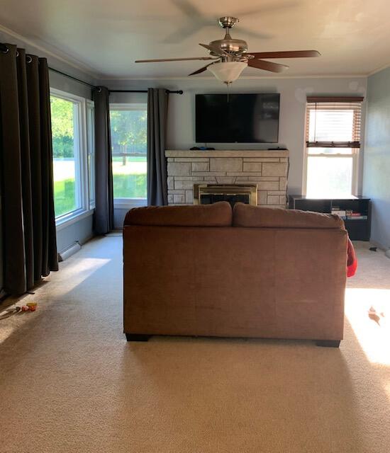 16443 Rynearson Street Buchanan, MI 49107 - Photo 2 of 24 livingroomsofa