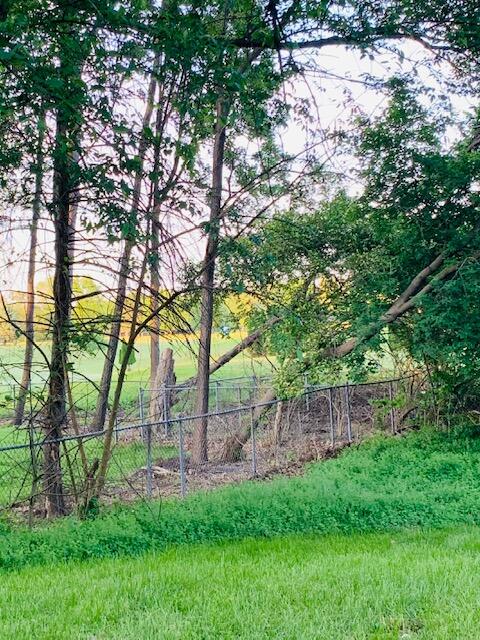 16443 Rynearson Street Buchanan, MI 49107 - Photo 22 of 24 golfcourse