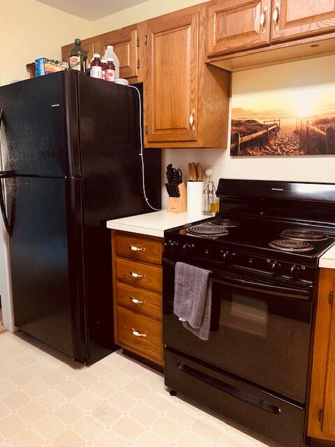16443 Rynearson Street Buchanan, MI 49107 - Photo 5 of 24 fridge