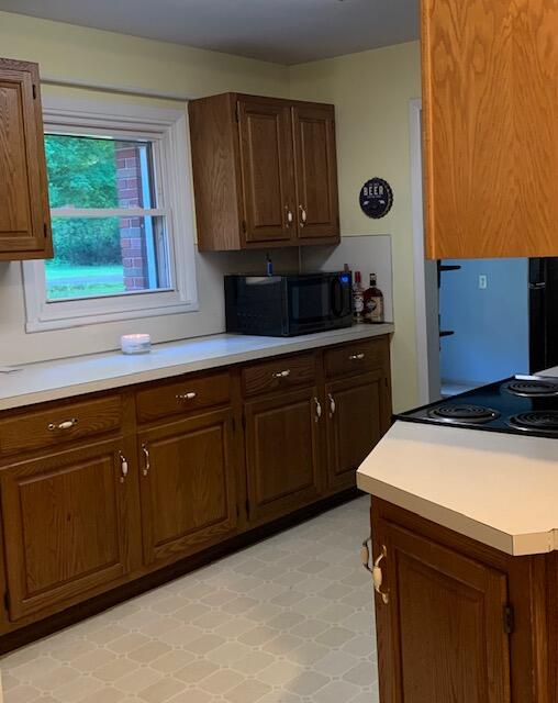 16443 Rynearson Street Buchanan, MI 49107 - Photo 7 of 24 kitchen