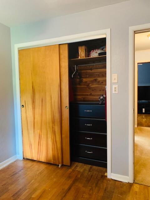 16443 Rynearson Street Buchanan, MI 49107 - Photo 10 of 24 mastercloset