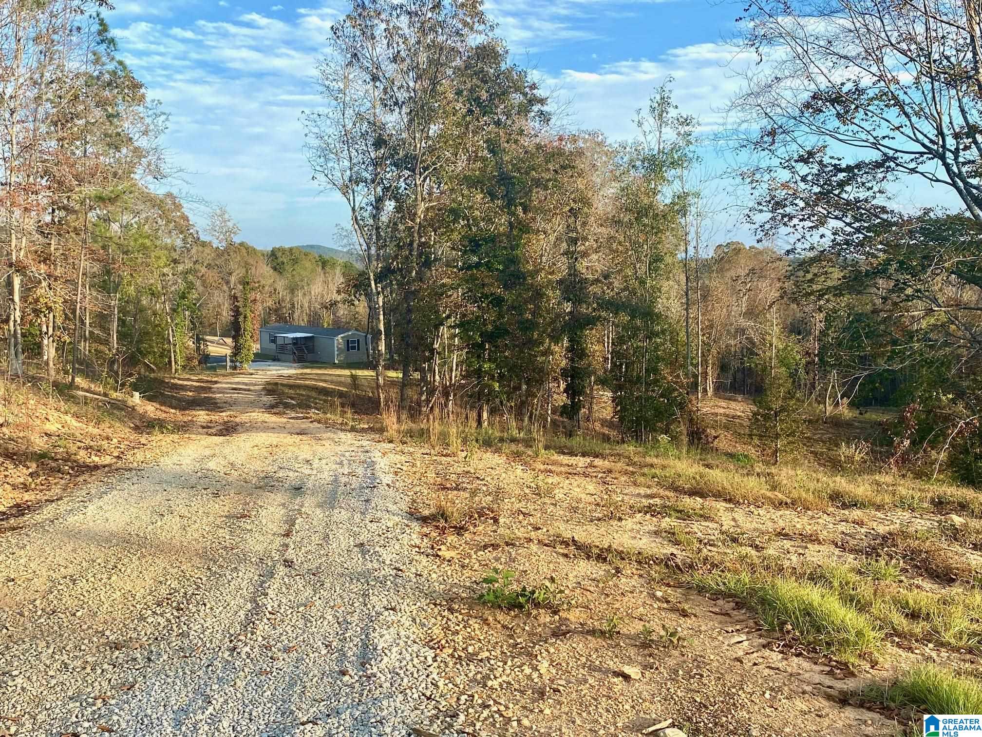 325 County Road 13 Heflin, AL 36264 - Photo 18 of 56