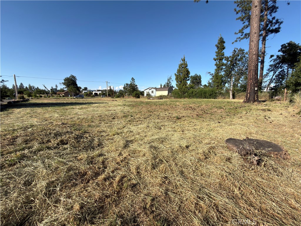 1354 Bennett Road Paradise, CA 95969 - Photo 9 of 10