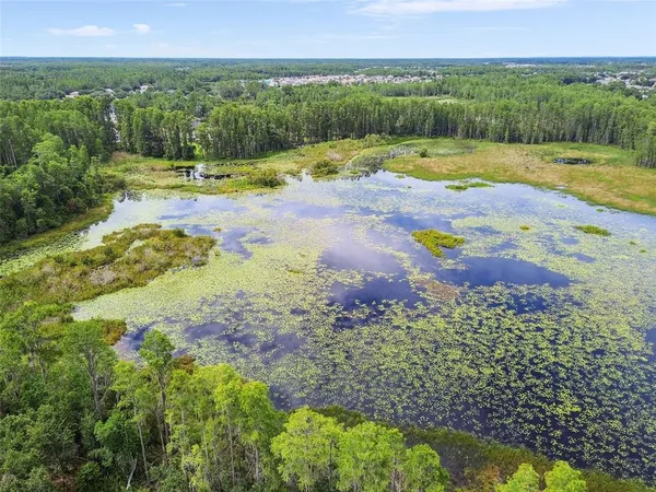 $775,000 | 21511 Wilderness Lake Boulevard, Land O Lakes, FL 34637