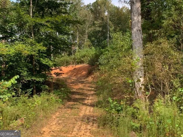a vase of flowers sitting on a table