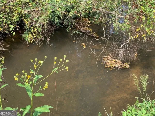 a view of a lush green forest next to a forest