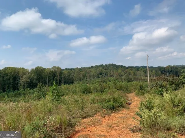 a view of a yard with plants