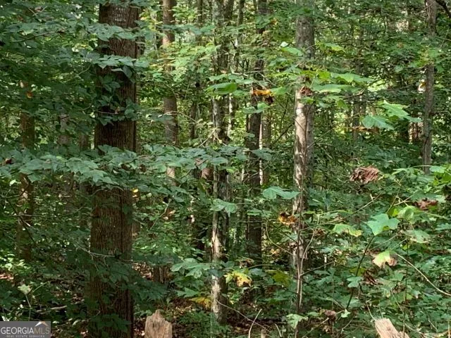 $2,130,635 | 3679-3703 370 Gillsville Highway, Gillsville, GA 30543