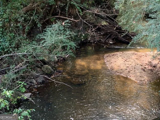 a view of a forest with a tree