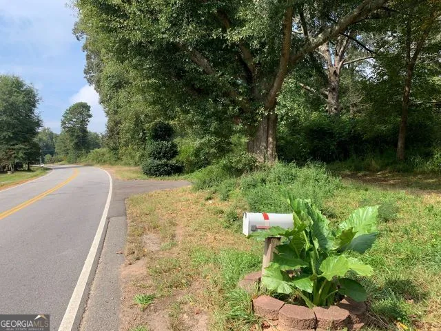 a view of a garden with plants
