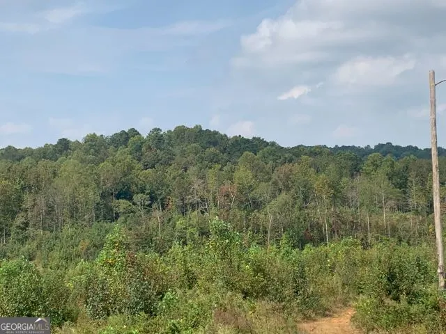 a view of a city and lush green forest