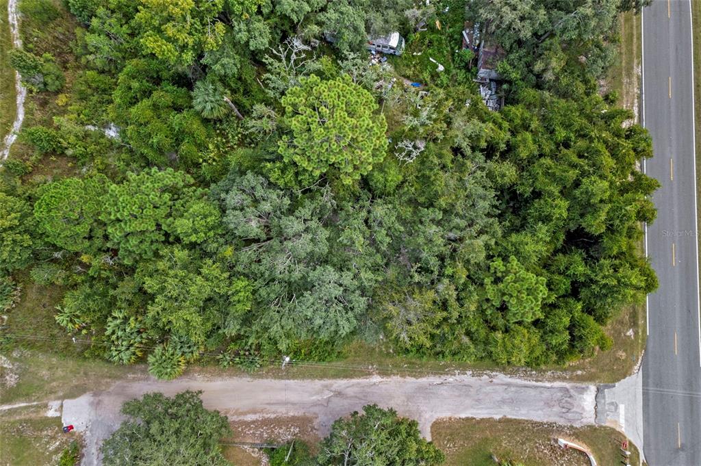 6669 West Cardinal Street Homosassa, FL 34446 - Photo 11 of 14 a view of a yard