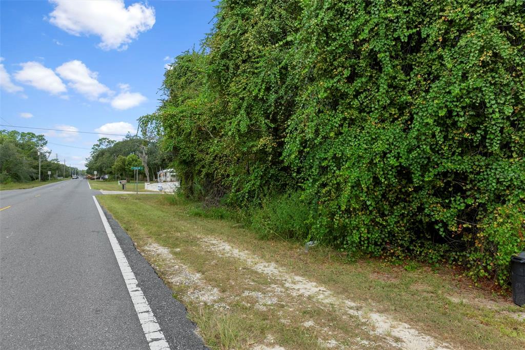 6669 West Cardinal Street Homosassa, FL 34446 - Photo 12 of 14 a view of a street with a yard