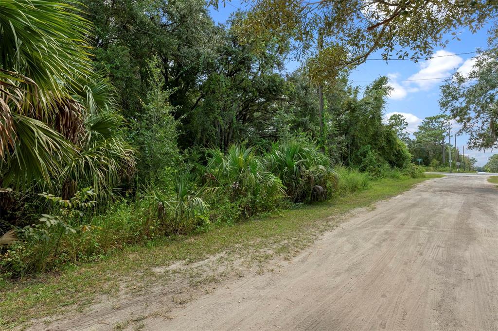 6669 West Cardinal Street Homosassa, FL 34446 - Photo 13 of 14 a view of a field