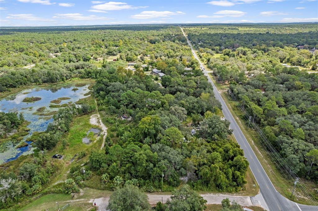 6669 West Cardinal Street Homosassa, FL 34446 - Photo 2 of 14 a view of a yard with a large trees