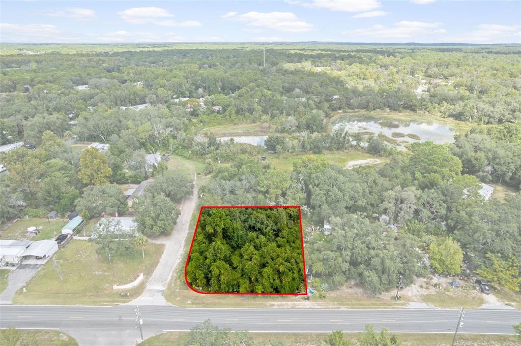 6669 West Cardinal Street Homosassa, FL 34446 - Photo 4 of 14 a view of a garden