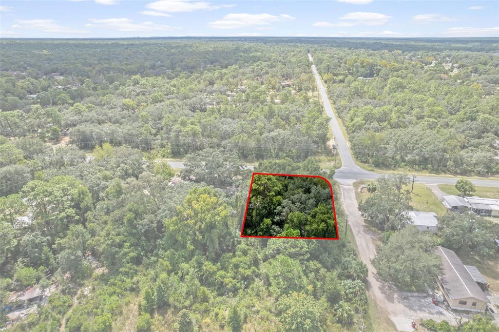 6669 West Cardinal Street Homosassa, FL 34446 - Photo 8 of 14 a view of a yard