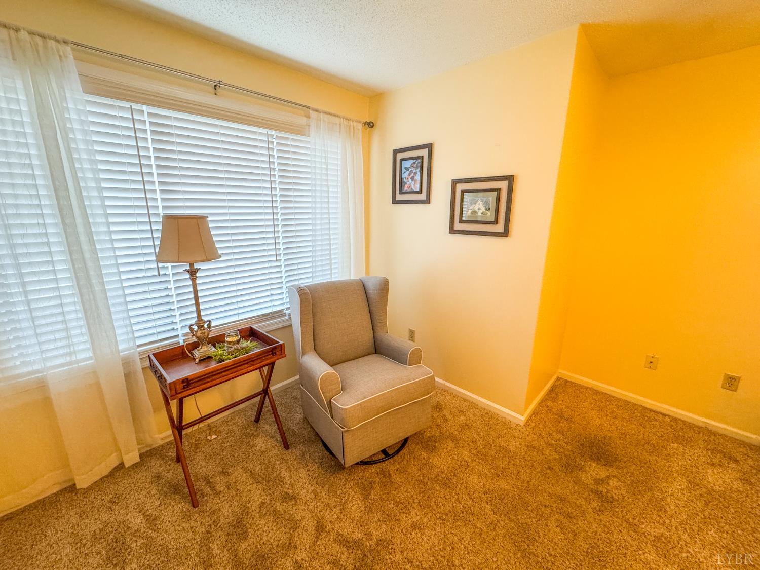 101 Manor Drive, Unit A Forest, VA 24551 - Photo 18 of 39