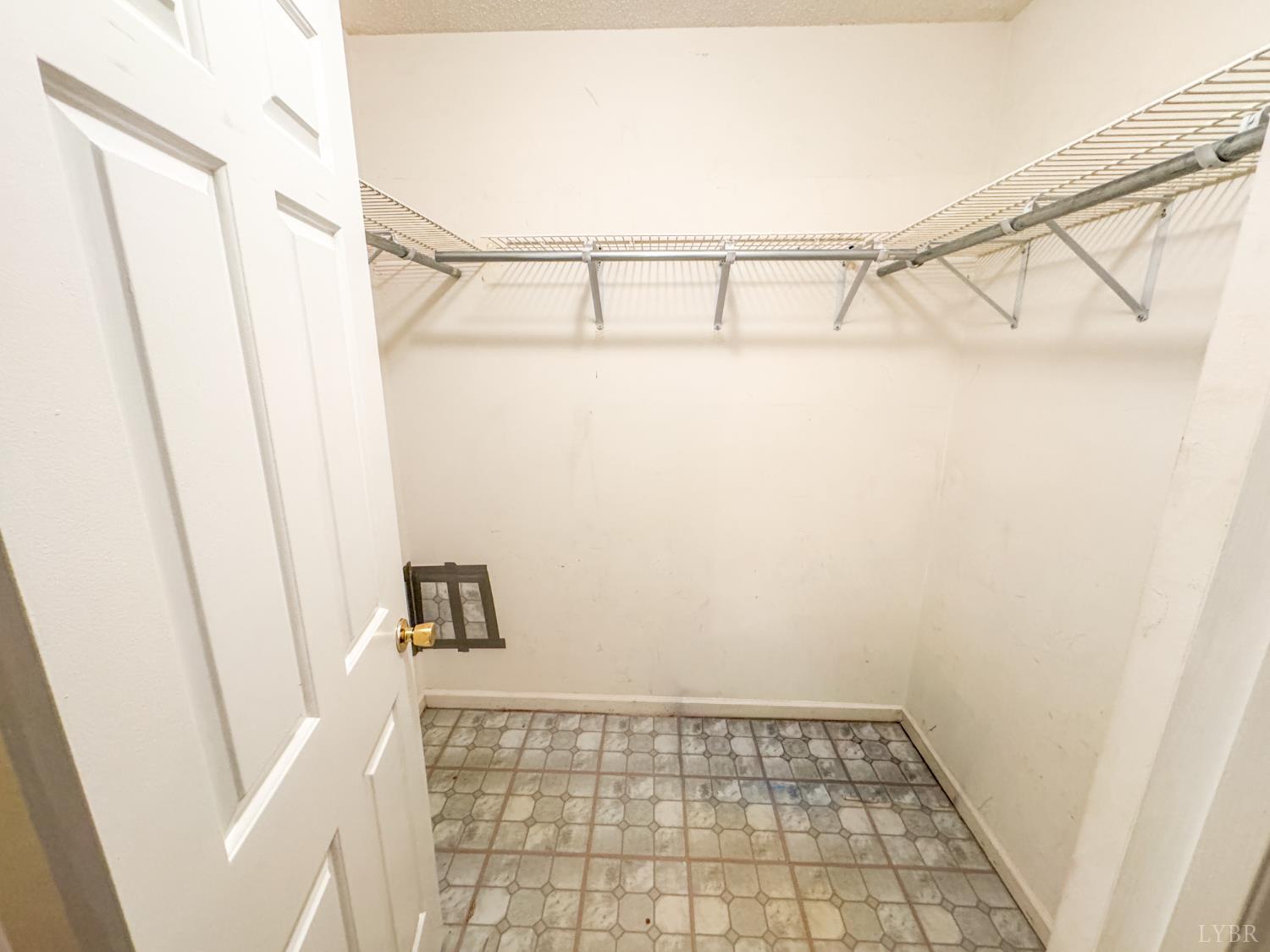 101 Manor Drive, Unit A Forest, VA 24551 - Photo 32 of 40 a view of walk in closet with empty racks