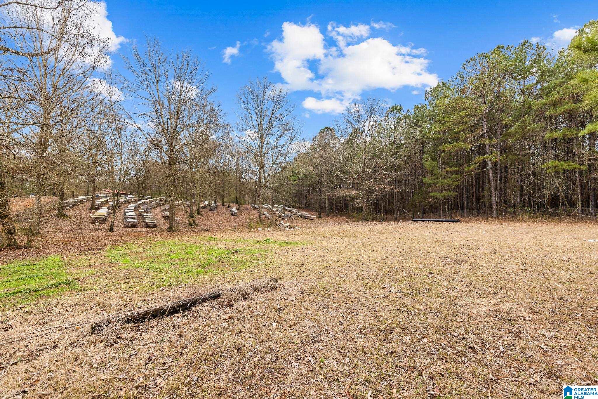 814 Deer Trace Road Pell City, AL 35125 - Photo 40 of 40