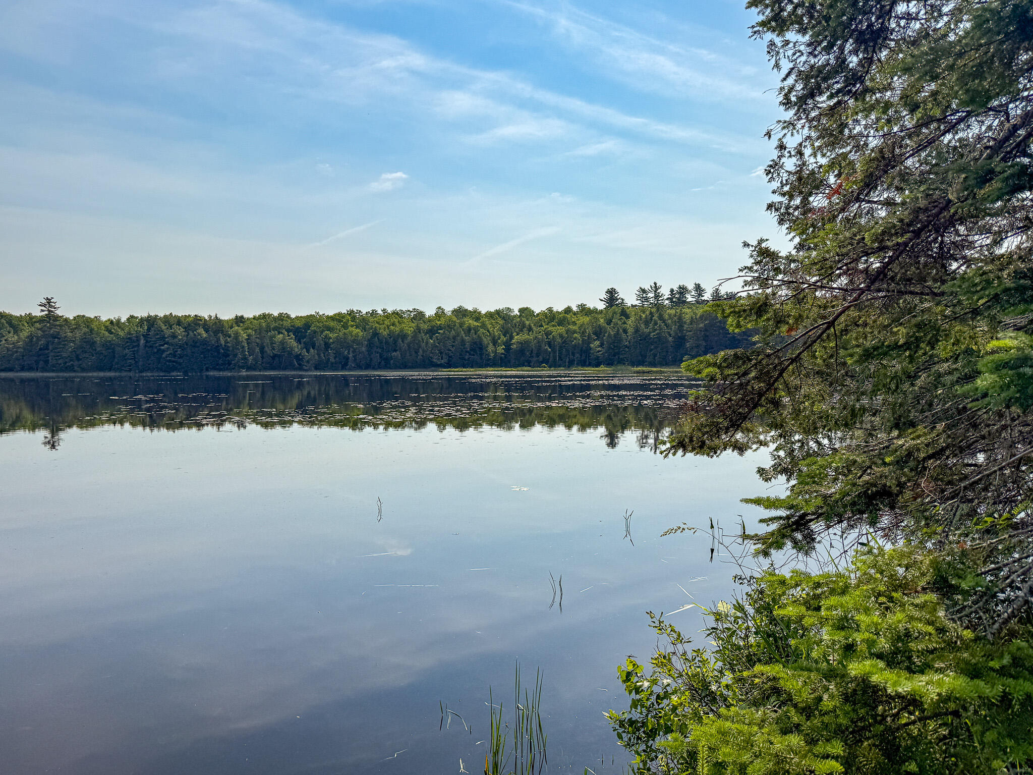 25 Pace Road Springfield, ME 04487 - Photo 11 of 31 11