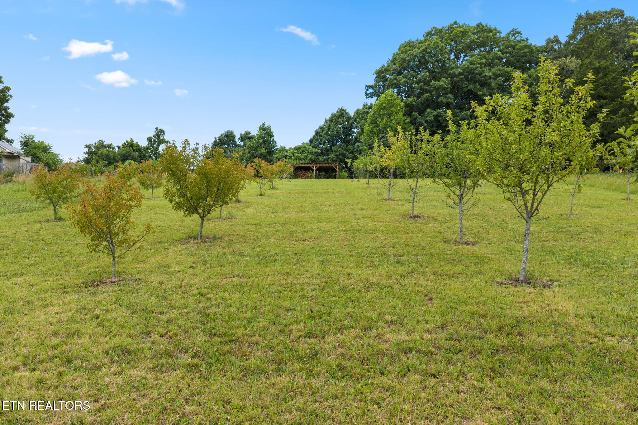 260 Long Hollow Road Clinton, TN 37716 - Photo 19 of 47 20-web-or-mls-620 Long Hollow-098