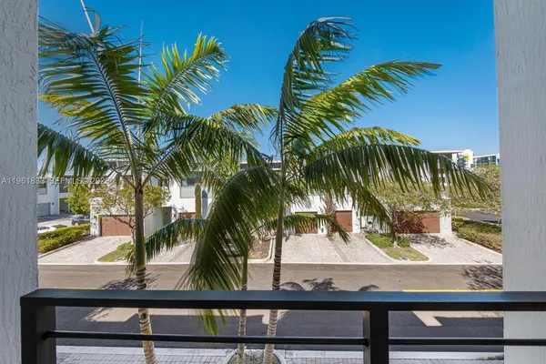 a view of outdoor area with palm trees