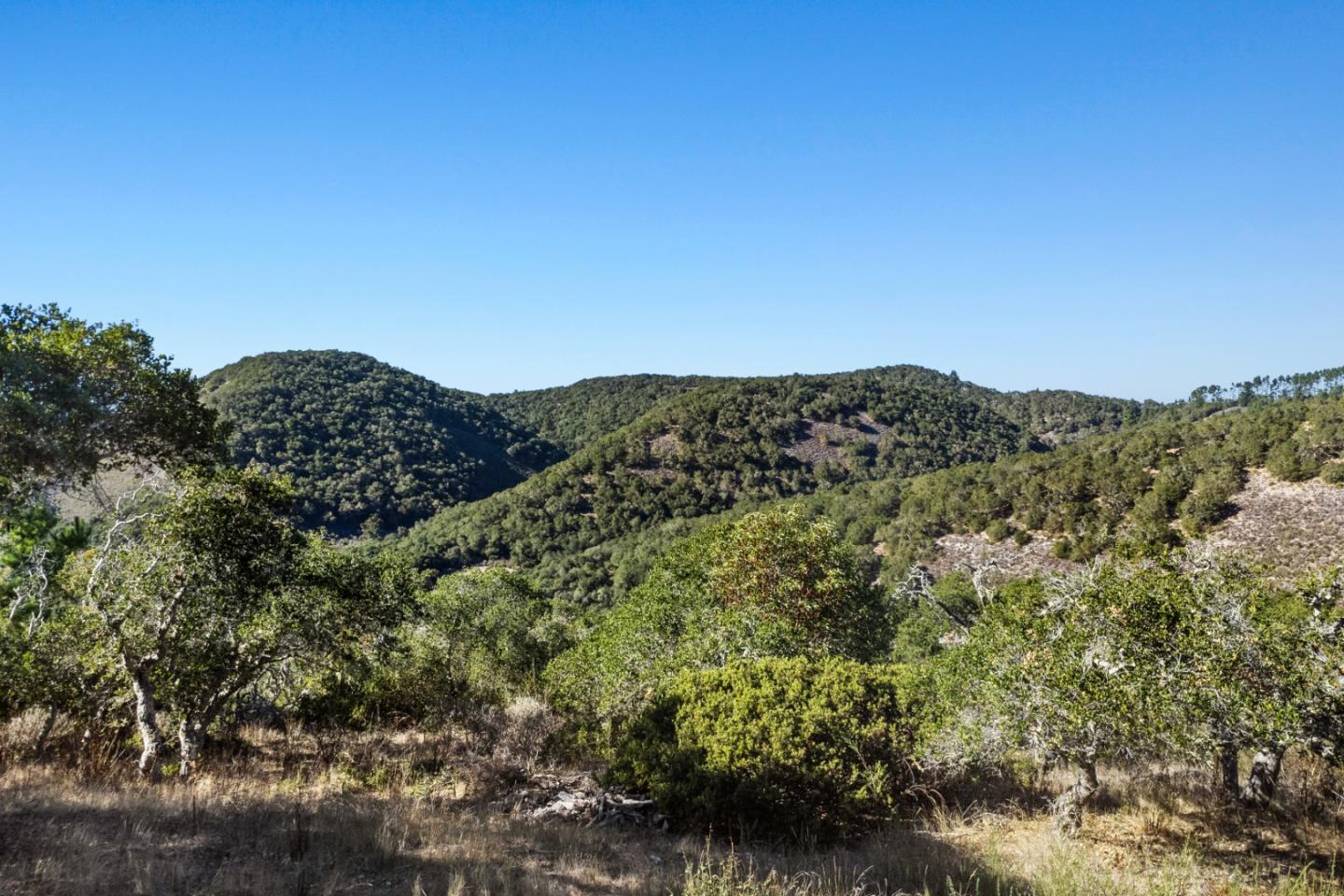 9 Corral Run Carmel, CA 93923 - Photo 6 of 19