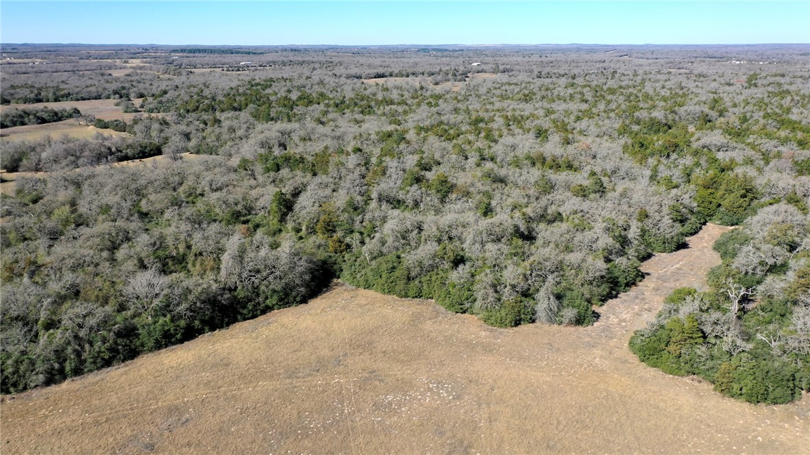 328 Tract 4 10 Acres Road Caldwell, TX 77836 - Photo 19 of 23