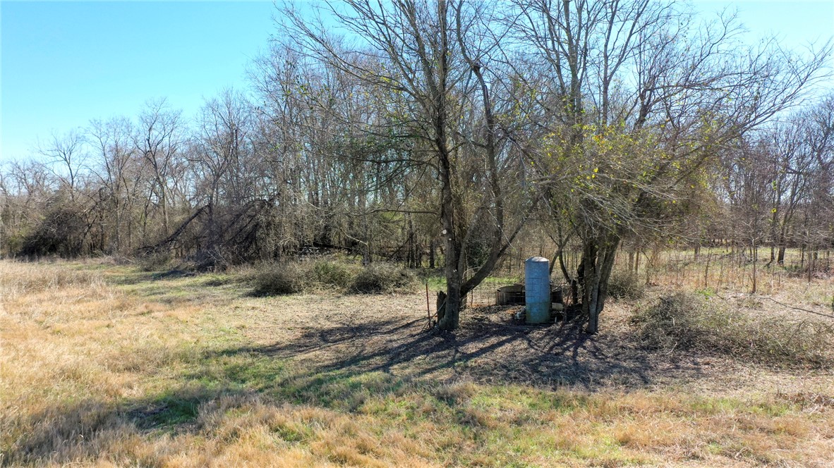 328 Tract 4 10 Acres Road Caldwell, TX 77836 - Photo 21 of 23