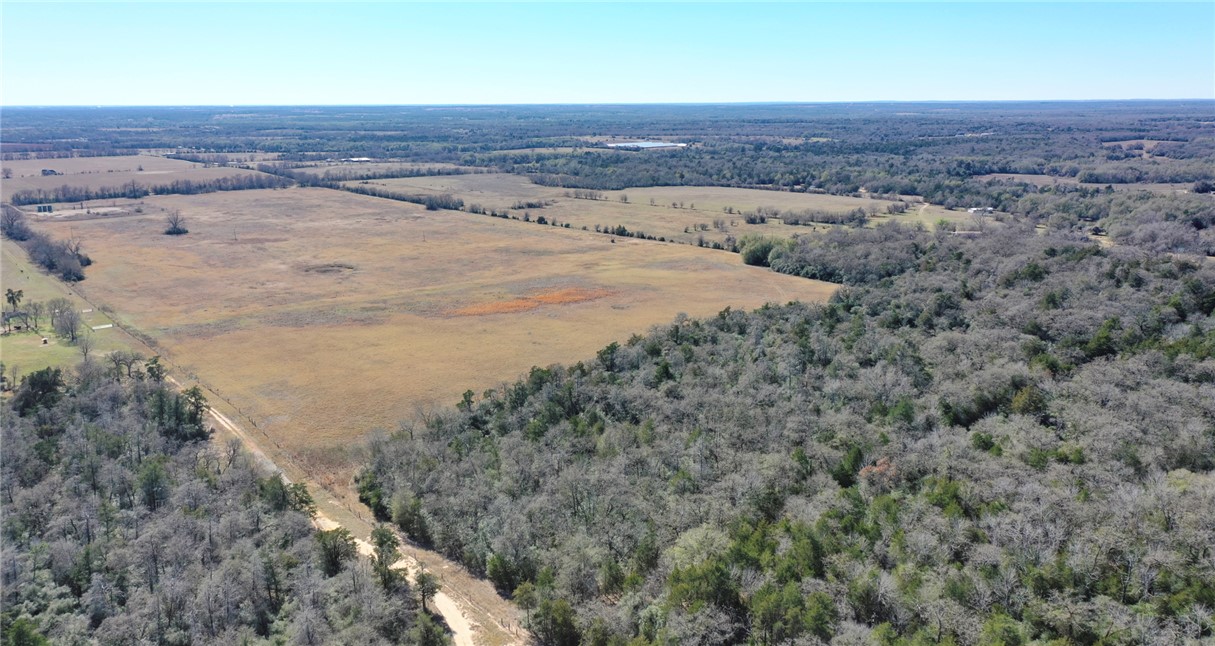 328 Tract 4 10 Acres Road Caldwell, TX 77836 - Photo 4 of 23