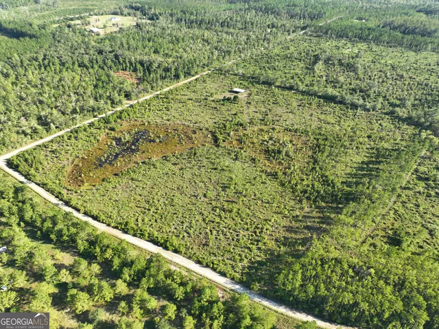 a view of a green field with lots of bushes