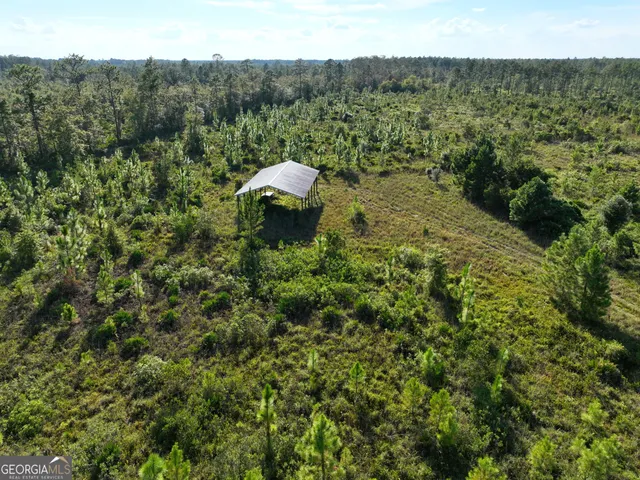 a view of a garden with a bench and trees
